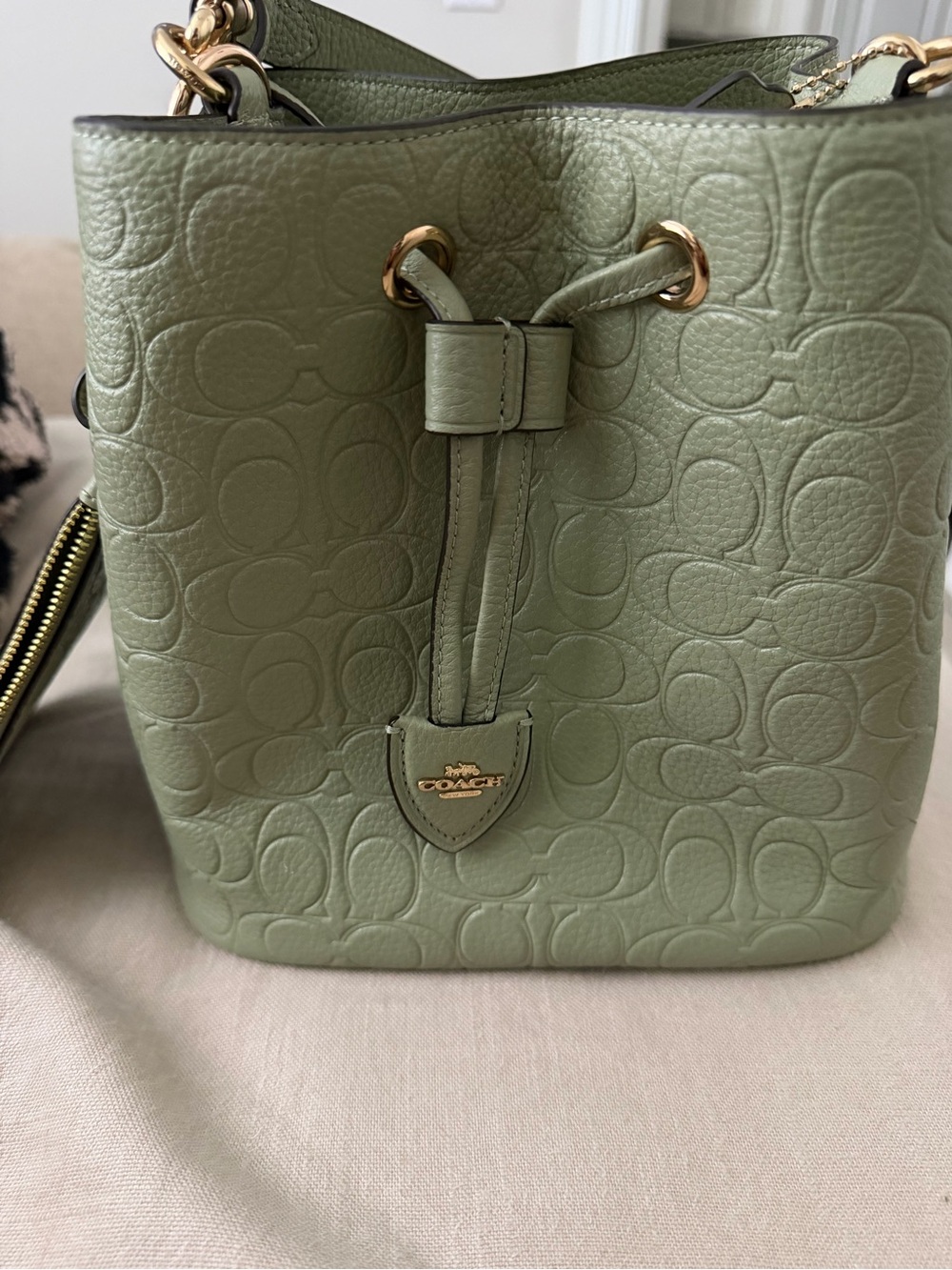 Coach Sage Green Embossed Leather Mini Bucket Bag